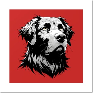 Stunning and Cool Flat-Coated Retriever Monochrome and Gold Portrait for Father's Day Posters and Art